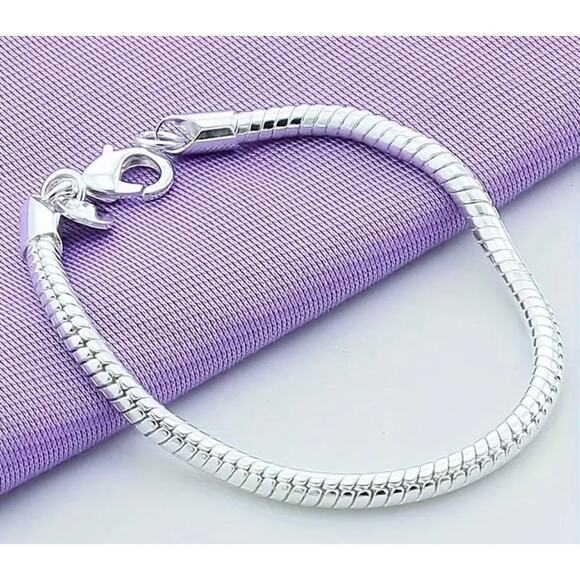 925 Sterling Silver Snake Bone Chain Bracelet and Necklce Set NWT Minimal Modern - Picture 5 of 5